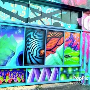 Meet your Posher, Sonny